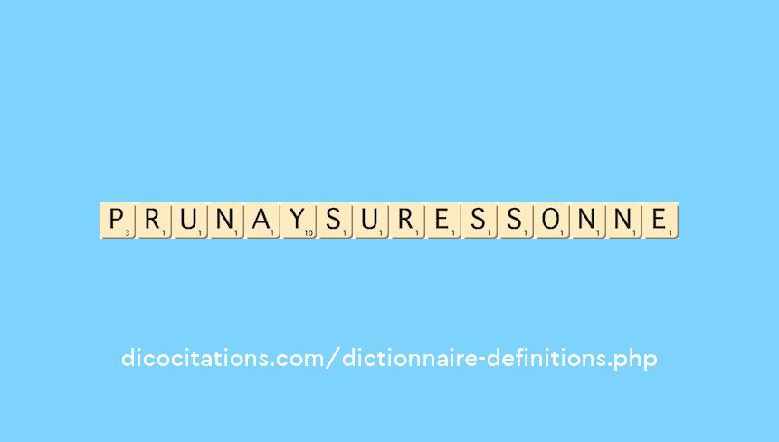 prunay-sur-essonne prunay-sur-essonne