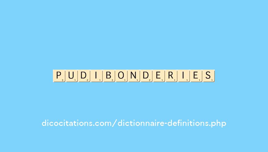 pudibonderies pudibonderies