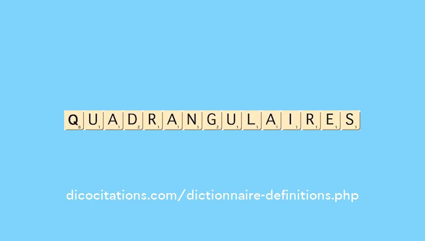 quadrangulaires quadrangulaires