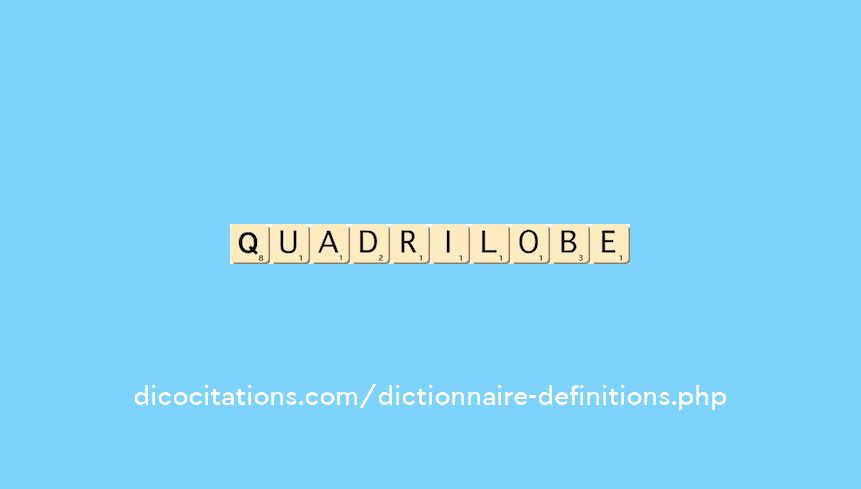 quadrilobe quadrilobe
