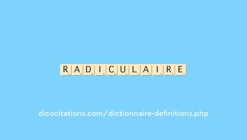 radiculaire