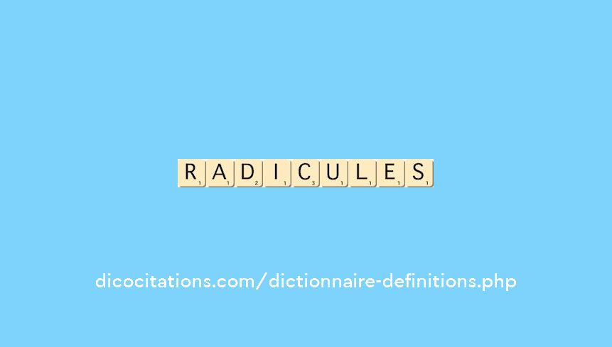 radicules radicules