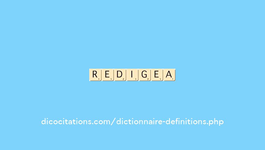 redigea redigea