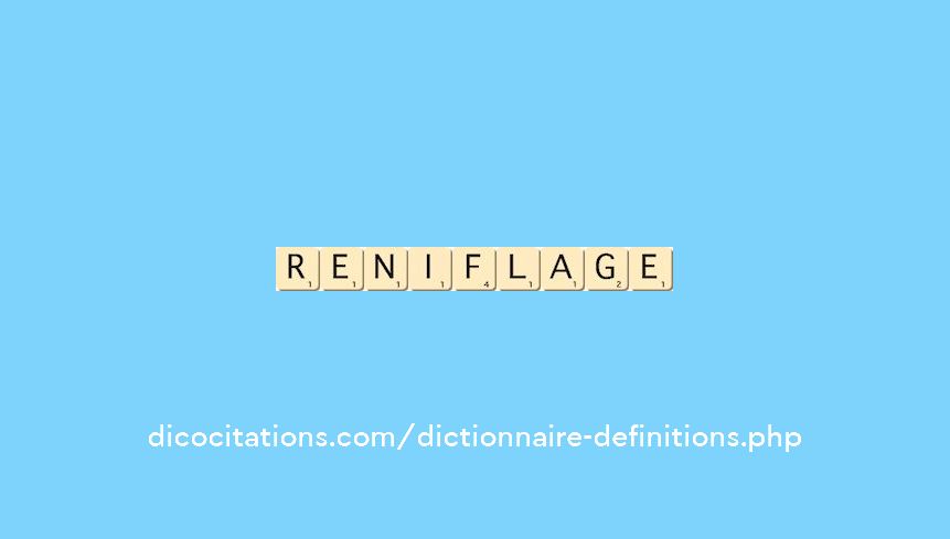 reniflage reniflage