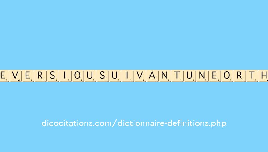 reversi--ou--suivant-une-ortho