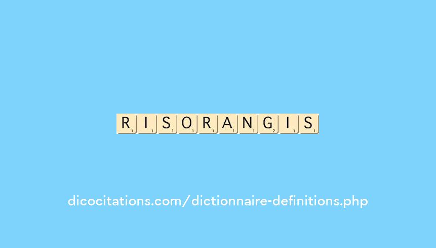 ris-orangis