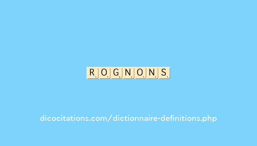rognons rognons