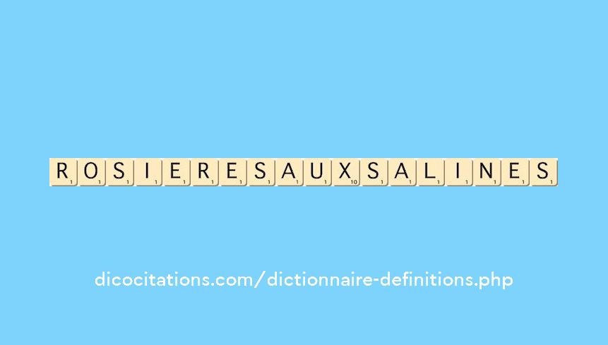rosieres-aux-salines
