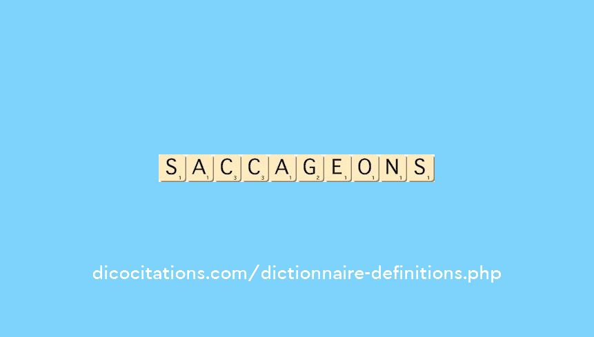 saccageons saccageons