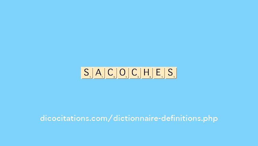 sacoches