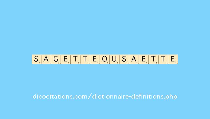 sagette-ou-saette sagette-ou-saette