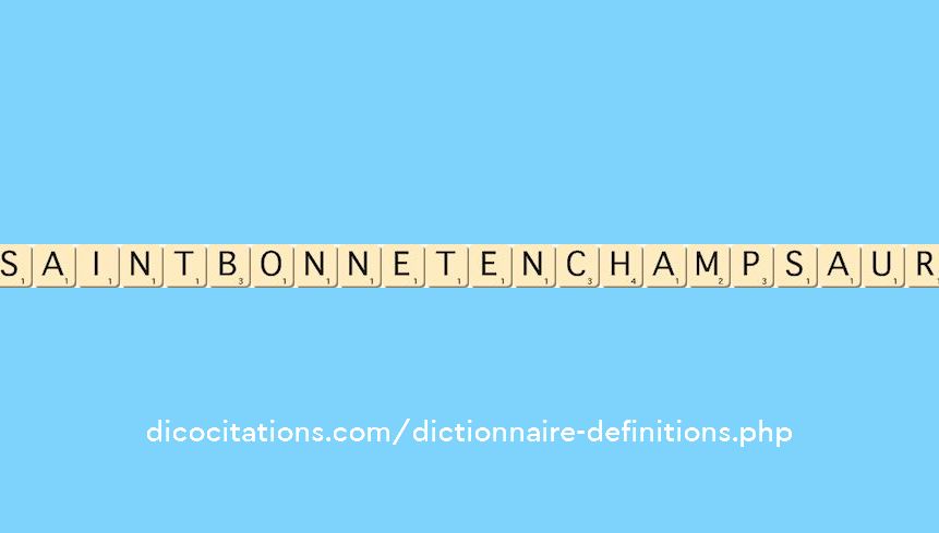 saint-bonnet-en-champsaur