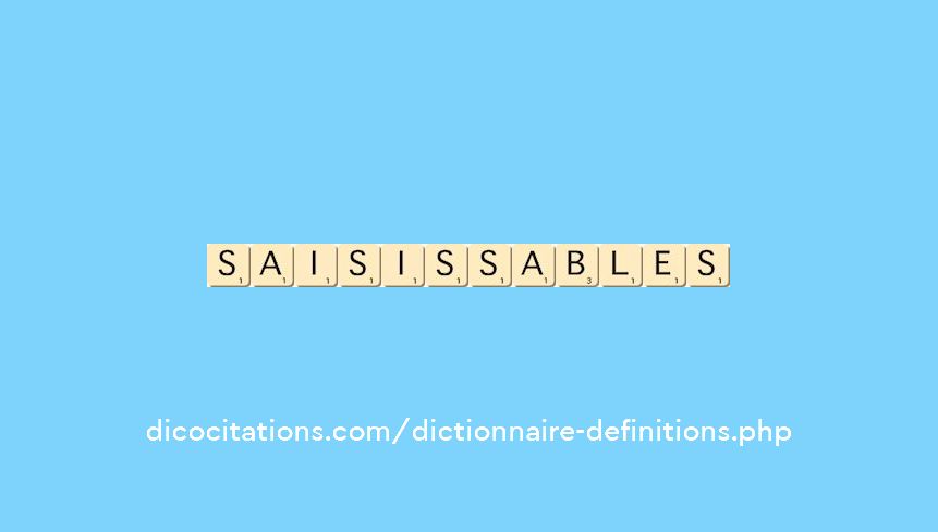 saisissables