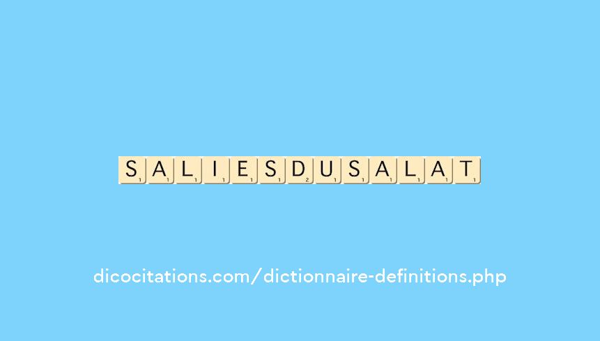 salies-du-salat