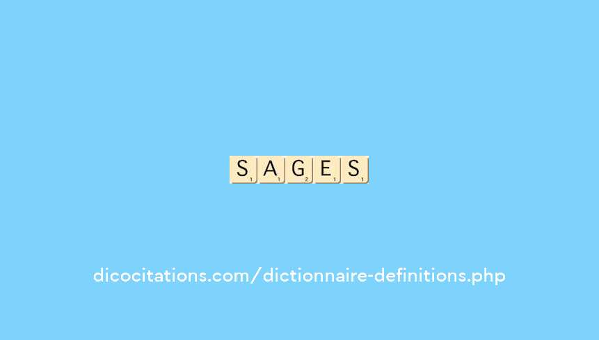 sangles sangles