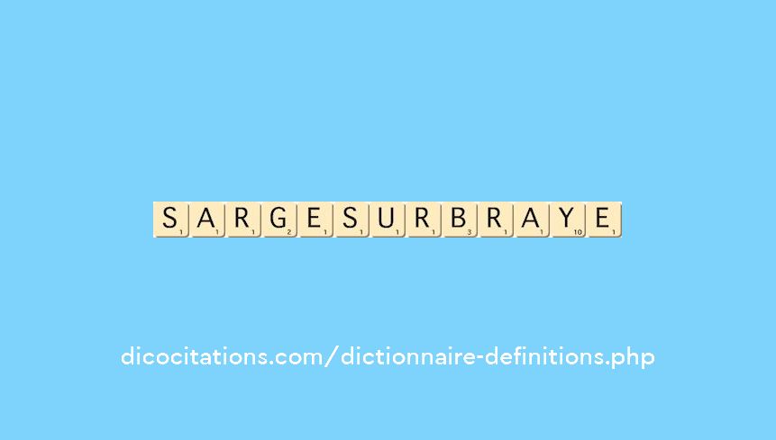 sarge-sur-braye