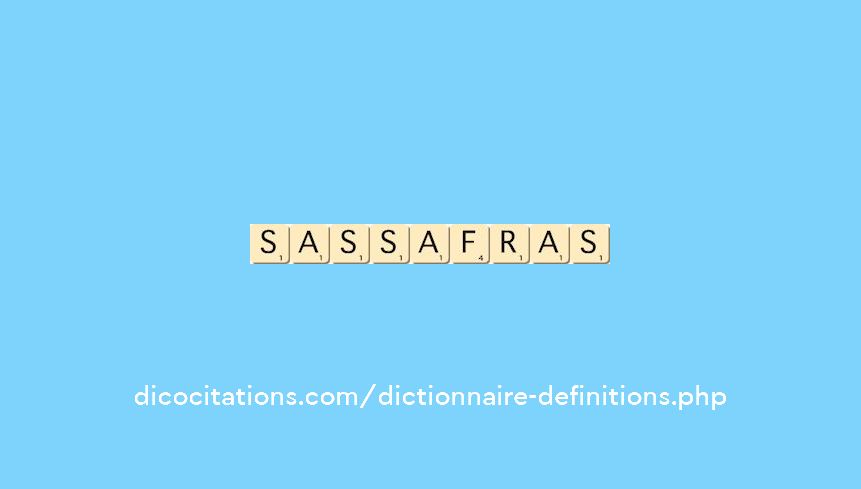 sassafras