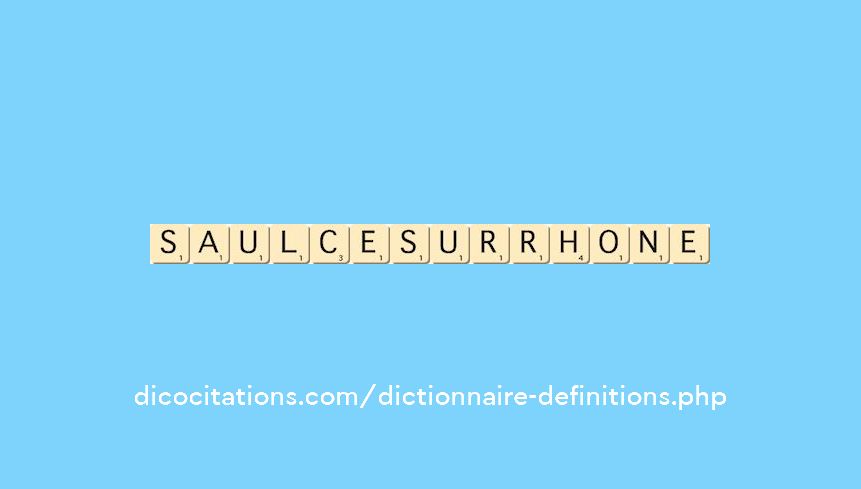 saulce-sur-rhone