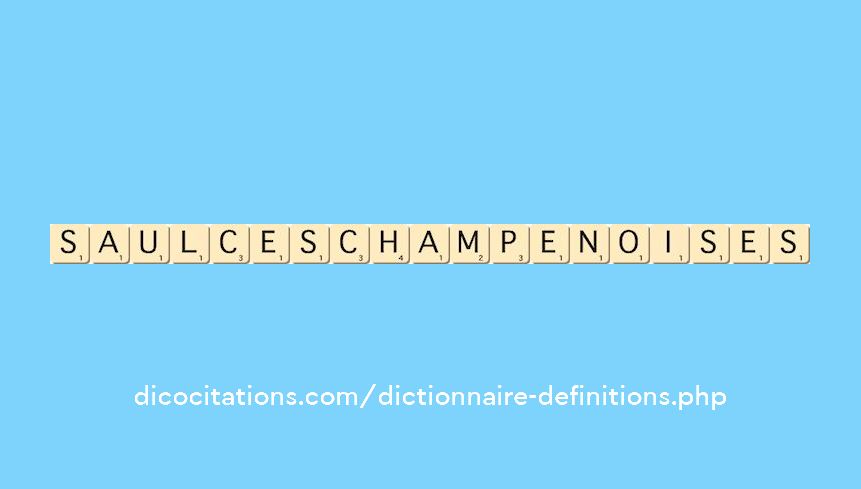 saulces-champenoises