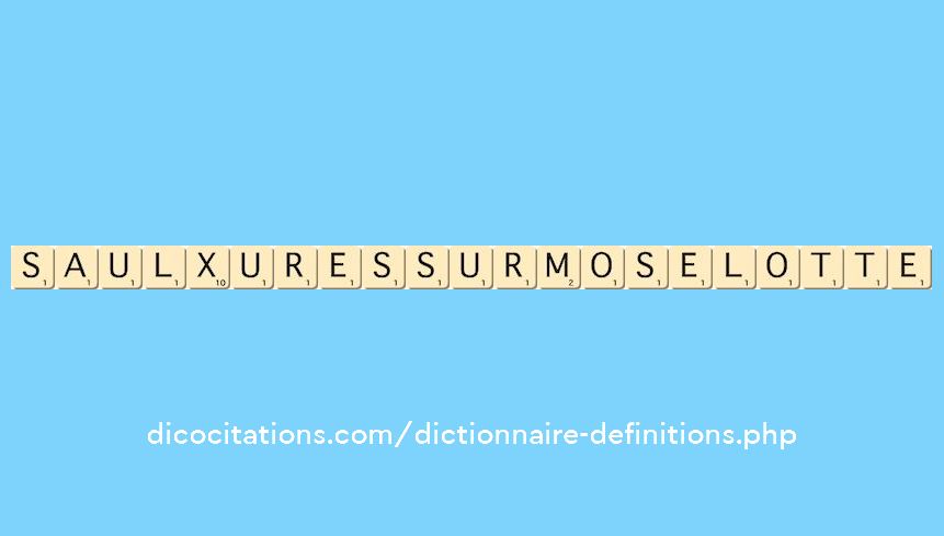 saulxures-sur-moselotte