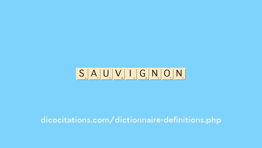 sauvignon sauvignon