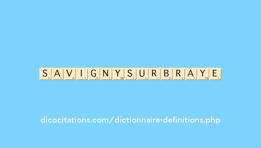 savigny-sur-braye