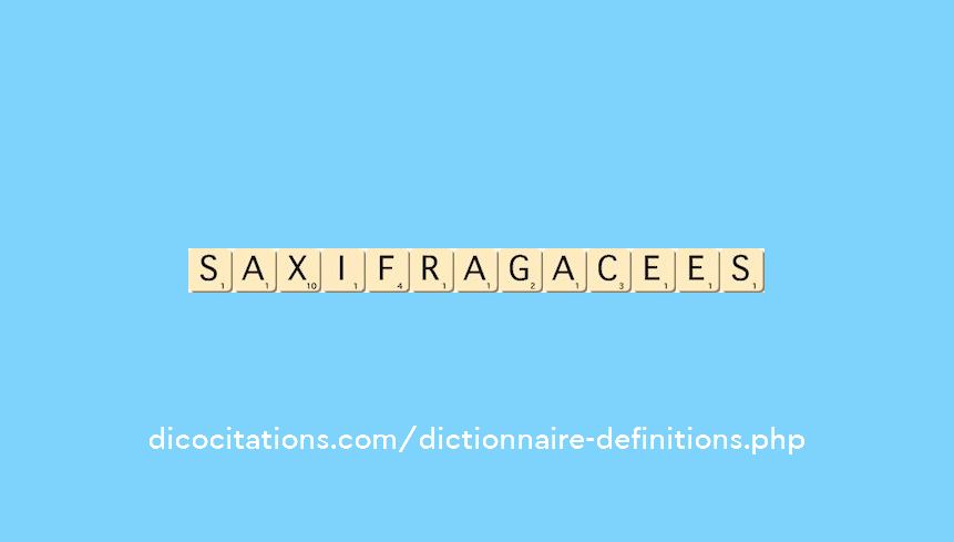 saxifragacees
