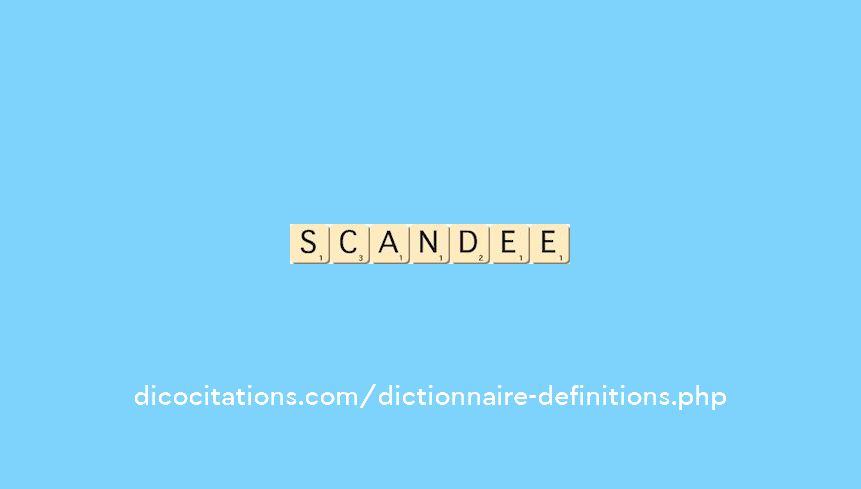 scandee scandee