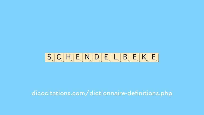 schendelbeke schendelbeke