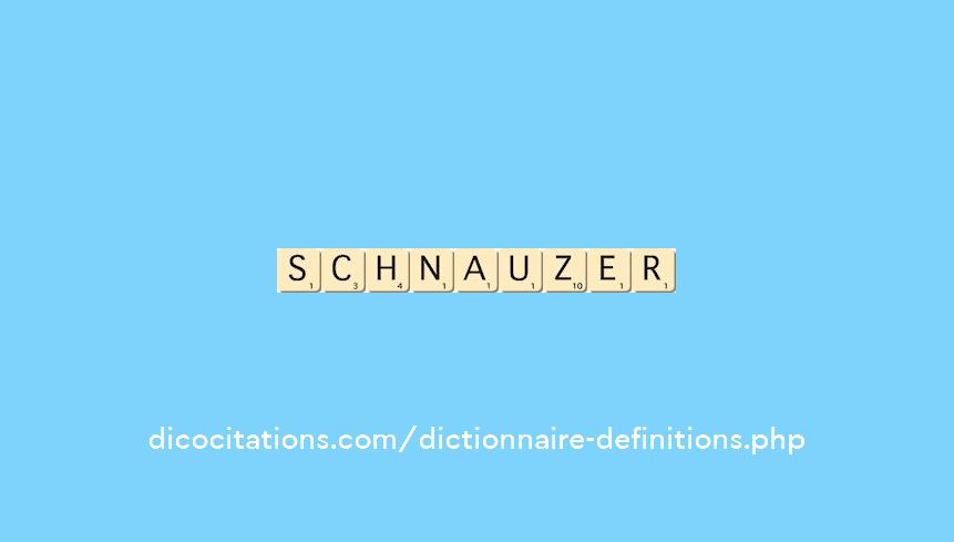 schnauzer schnauzer