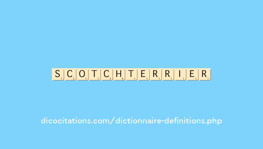 scotch-terrier