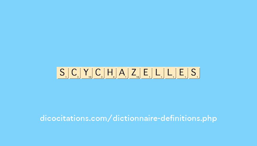 scy-chazelles