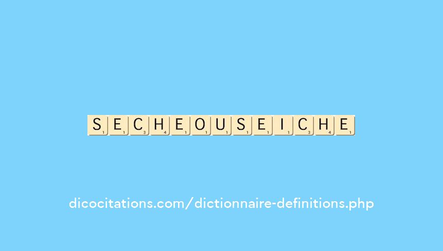 seche-ou-seiche