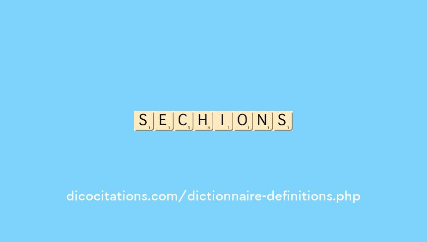 sechions sechions