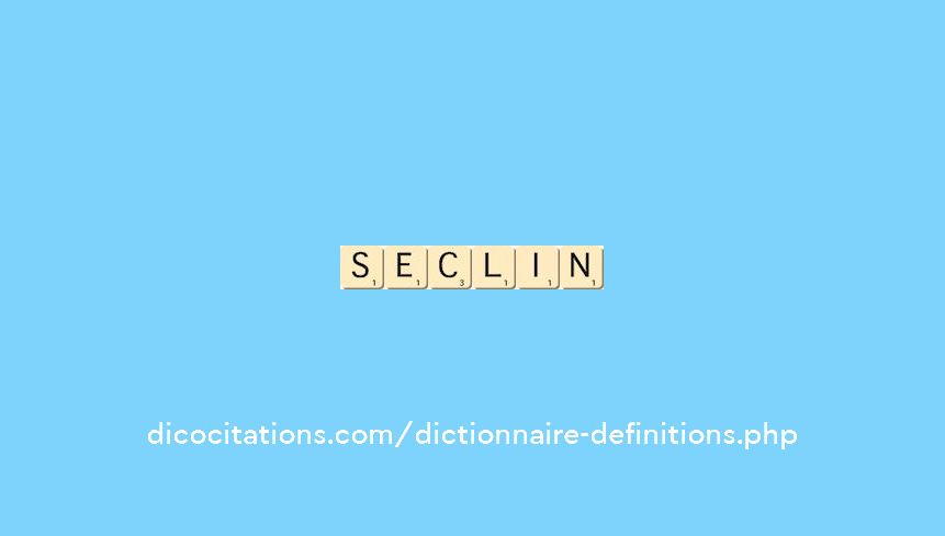 seclin