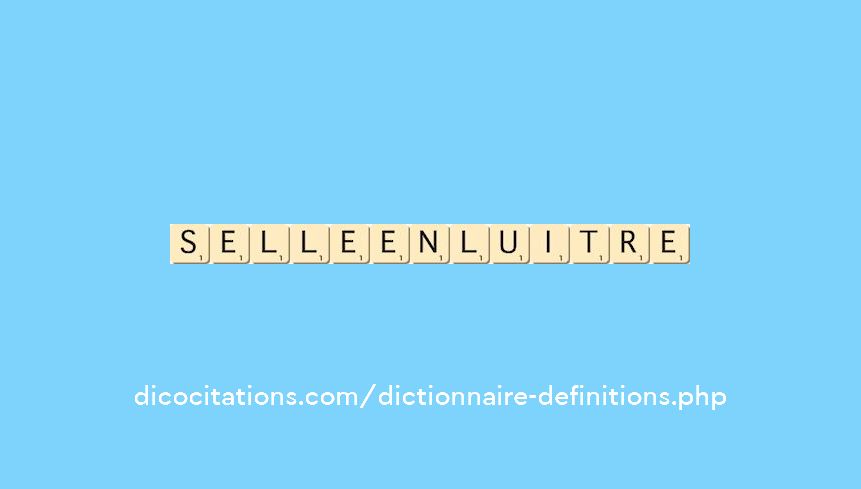selle-en-luitre