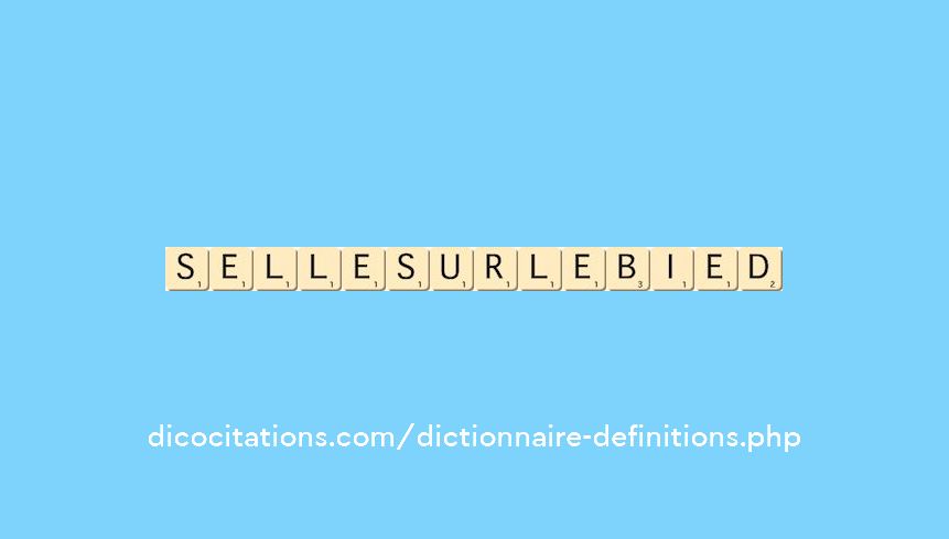 selle-sur-le-bied