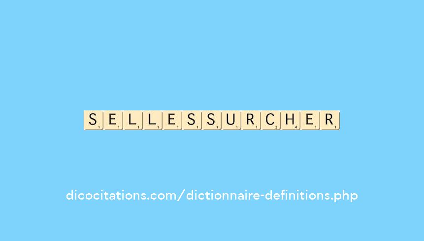 selles-sur-cher