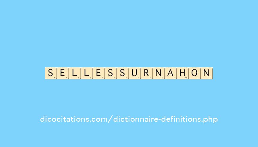 selles-sur-nahon