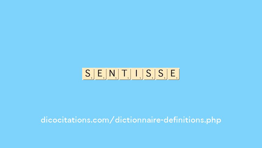 sentisse sentisse