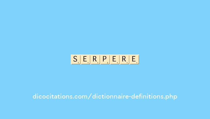 serpilliere