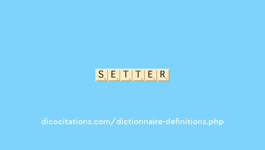 setter setter