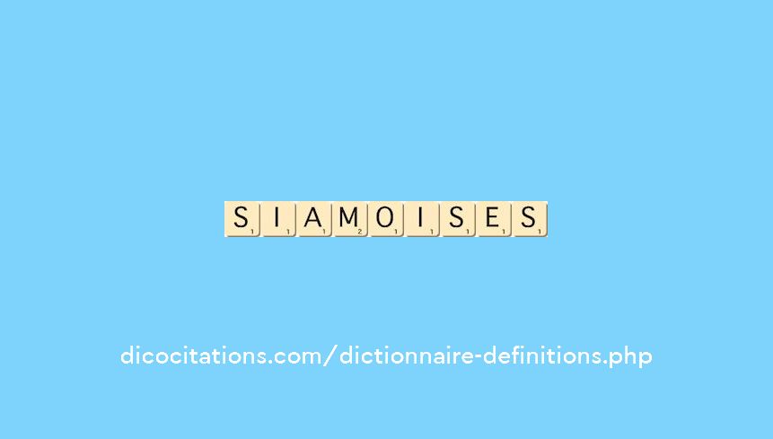 siamoises siamoises