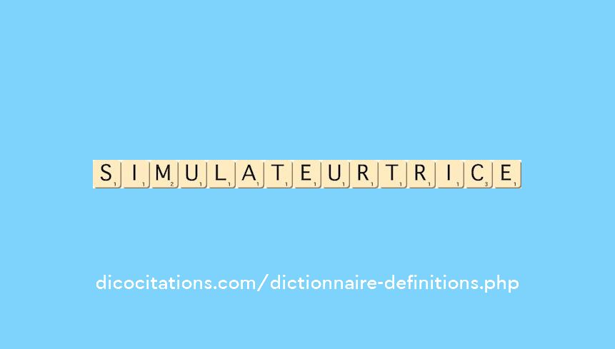 simulateur--trice