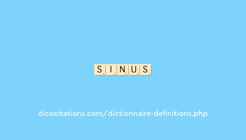sinus