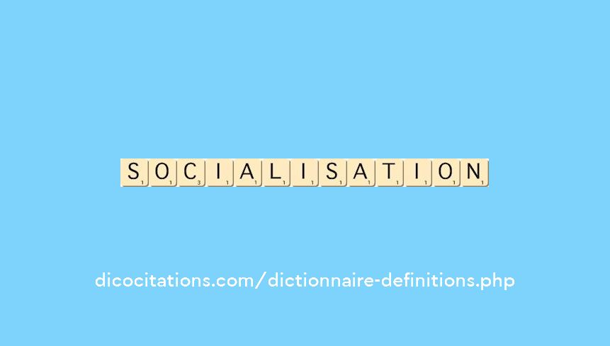 socialisation