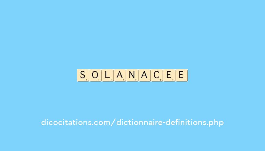 solanacee