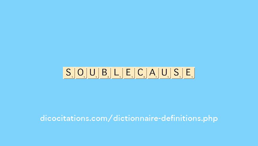 soublecause soublecause