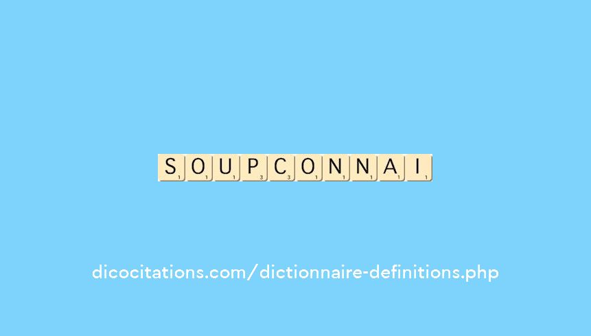 soupconnai
