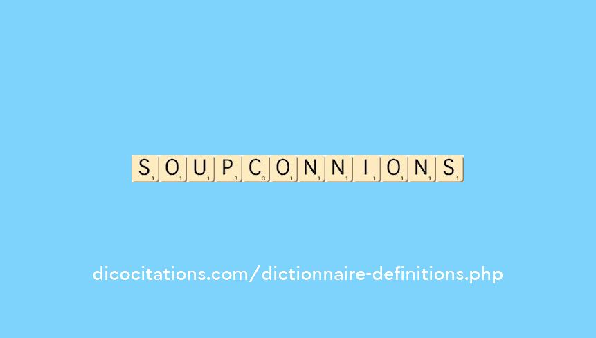 soupconnions soupconnions
